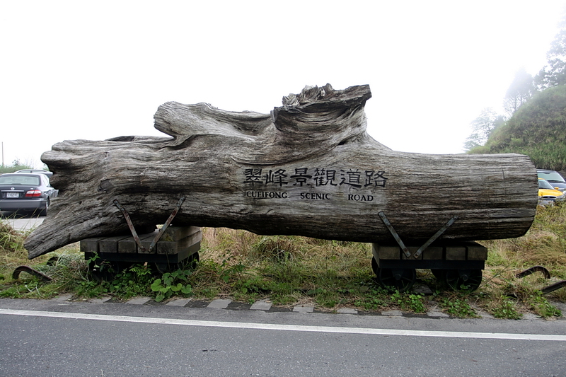 翠峰景觀道路 攝影：陳銘祥