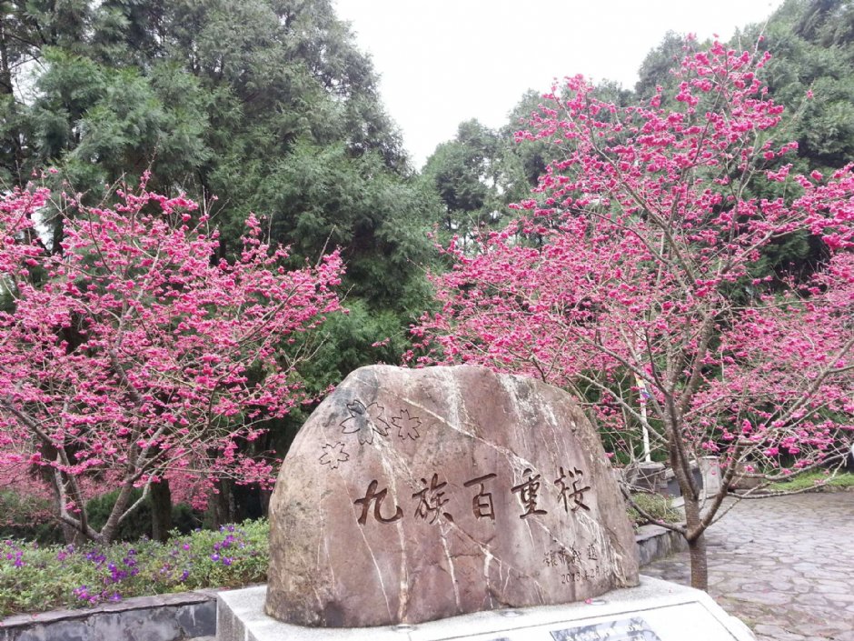 九族文化村 攝影：Lu