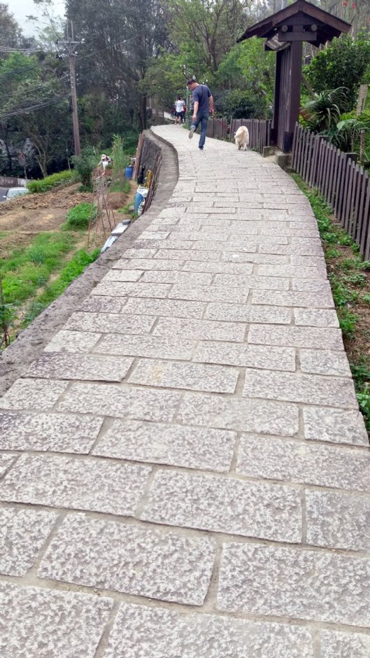 樟樹步道 攝影：Eva隨手拍