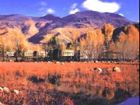 燦爛的紅草地<br/> 攝影：四川旅遊信息網