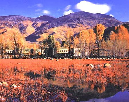 燦爛的紅草地 攝影：四川旅遊信息網
