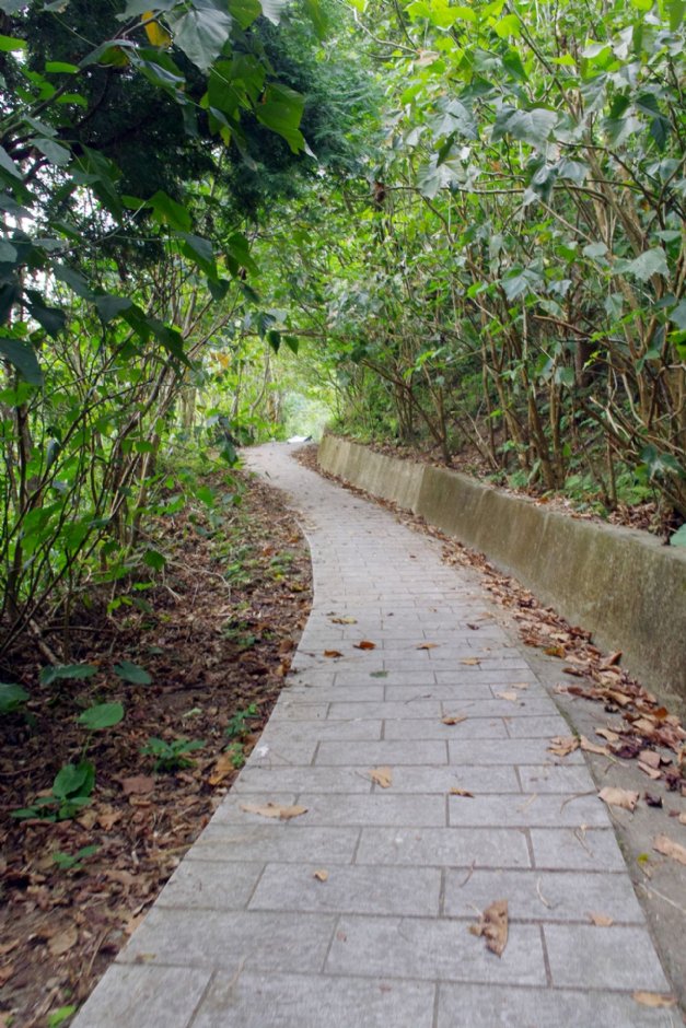 萬年峽谷 攝影：Eva隨手拍