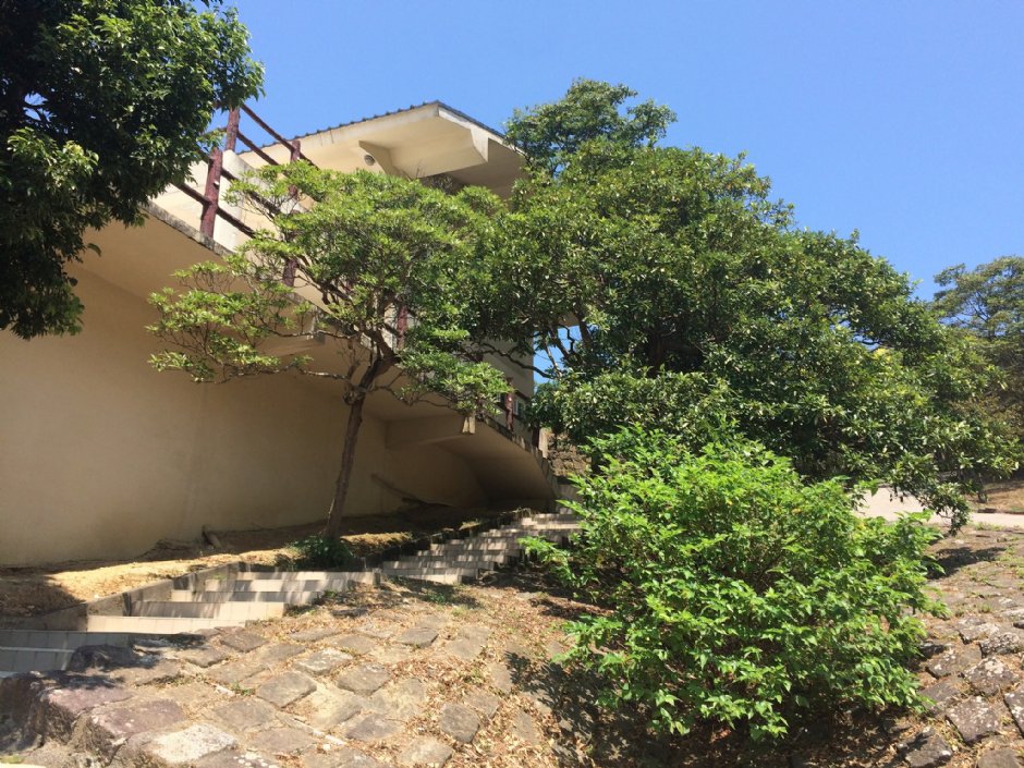情人湖步道 攝影：Eva隨手拍