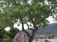 雷公埤<br/> 攝影：Eva隨手拍