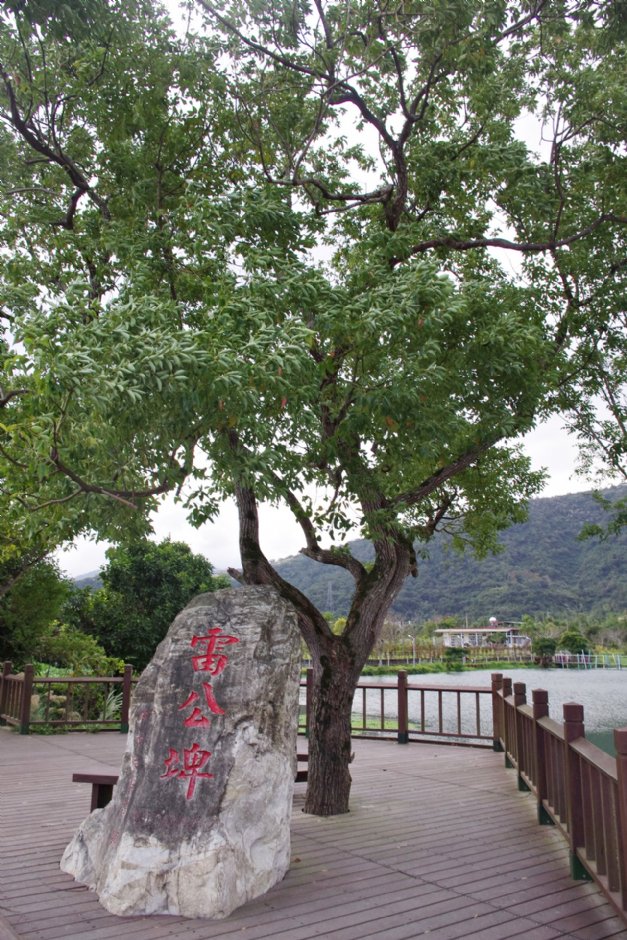雷公埤 攝影：Eva隨手拍