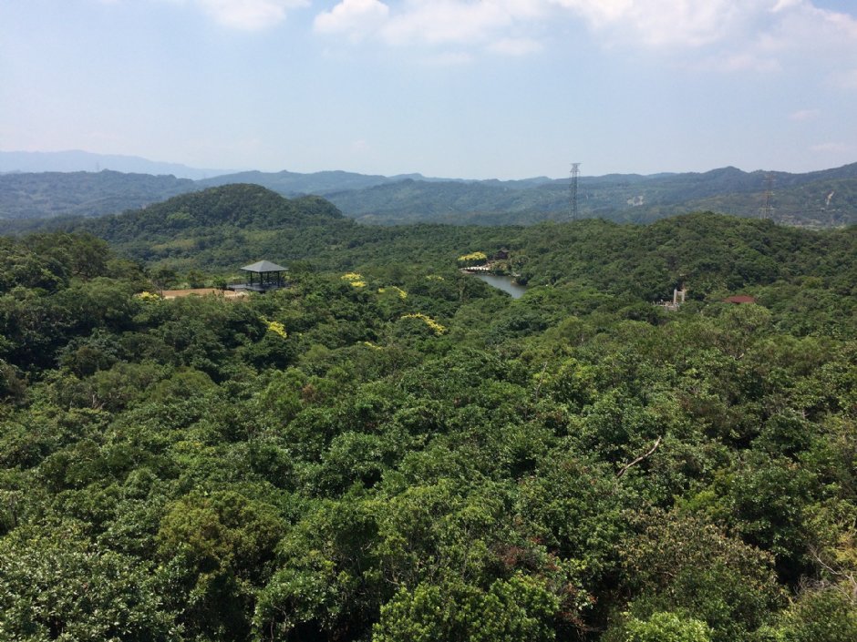 情人湖 攝影：Eva隨手拍