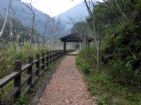 木屑步道<br/> 攝影：Lu