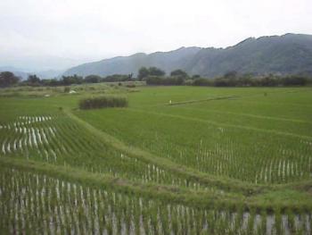 關西大平原 攝影：郭香妙