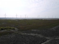 高美濕地2015<br/> 攝影：旅遊王攝影組