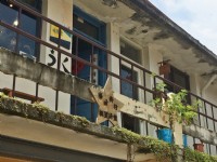 審計新村<br/> 攝影：Eva隨手拍