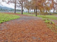 張公圍親水公園<br/> 攝影：Eva隨手拍