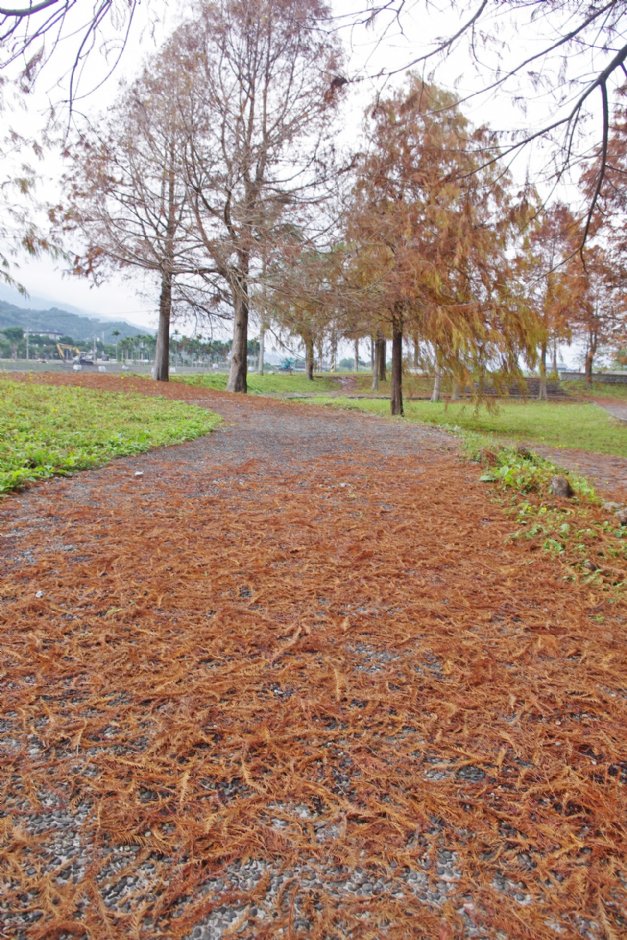 張公圍親水公園 攝影：Eva隨手拍