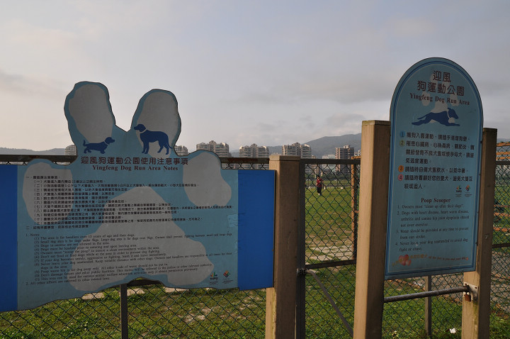 迎風狗運動公園 攝影：amo