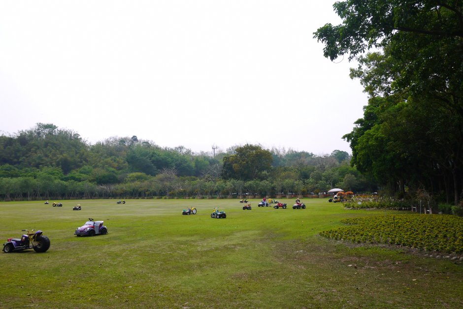 南元花園休閒農場草原 攝影：三井