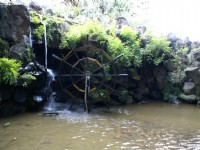板橋農村公園<br/> 攝影：Eva隨手拍