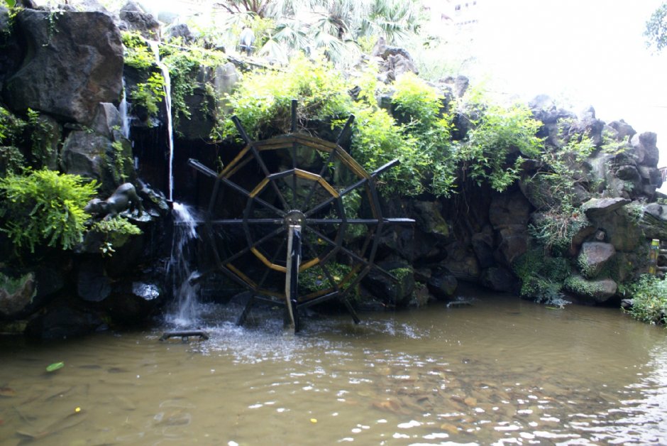 板橋農村公園 攝影：Eva隨手拍