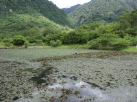 羅山大魚池 (2010.09 攝)<br/> 攝影：Eva隨手拍