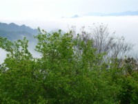 八角崠山<br/> 攝影：老山羊資訊網