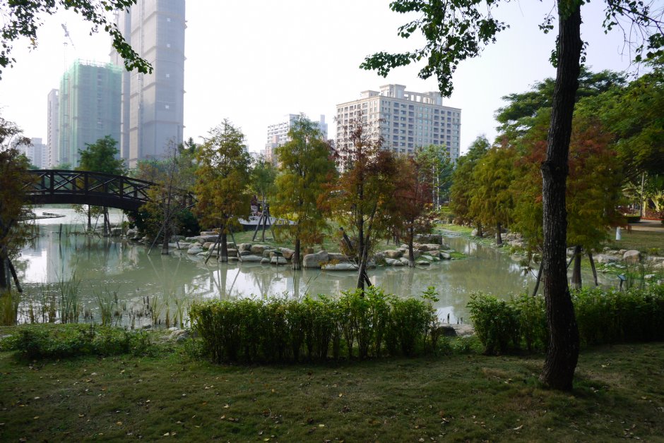 凹仔底森林公園生態池 攝影：旅遊王攝影組
