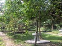 荷苞山登山步道<br/> 攝影：雲林縣政府觀光旅遊局 提供