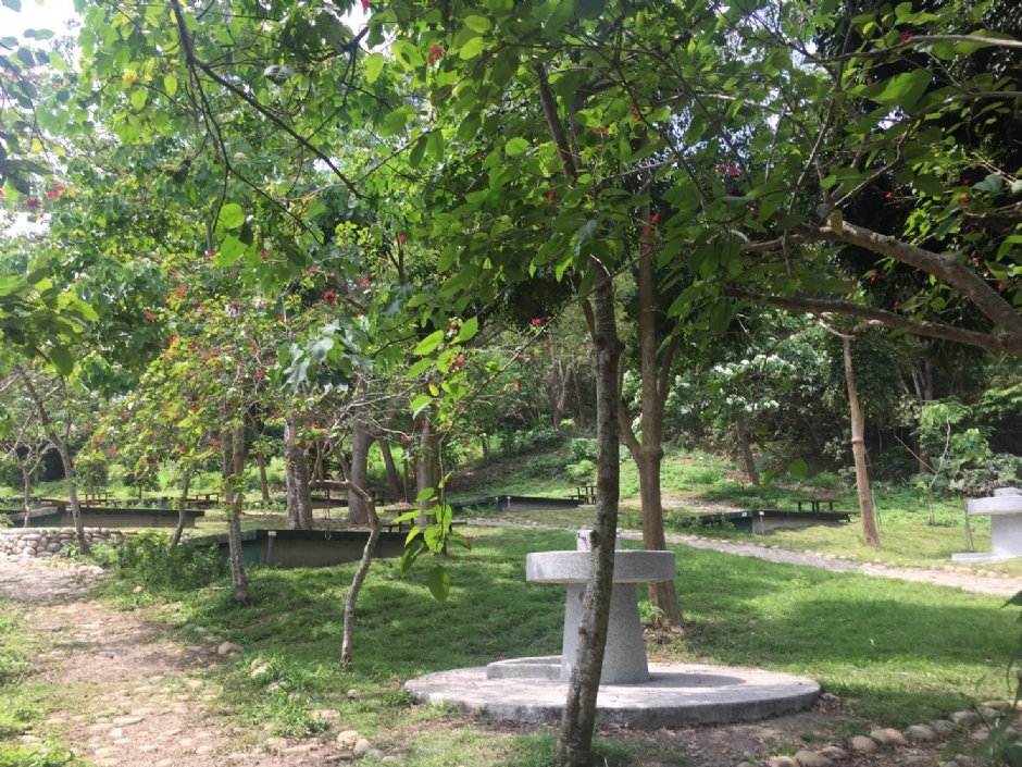 荷苞山登山步道 攝影：雲林縣政府觀光旅遊局 提供