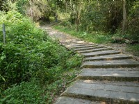 大津瀑布步道<br/> 攝影：旅遊王攝影組
