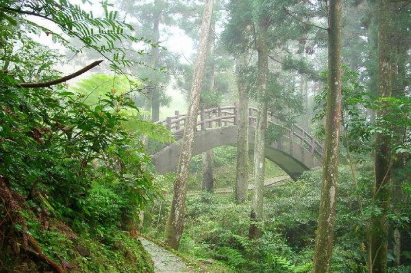 朦朧美景 攝影：老山羊部落格