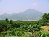 紅樹林區<br/> 攝影：老山羊資訊網
