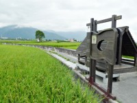 伯朗大道<br/> 攝影：Eva隨手拍
