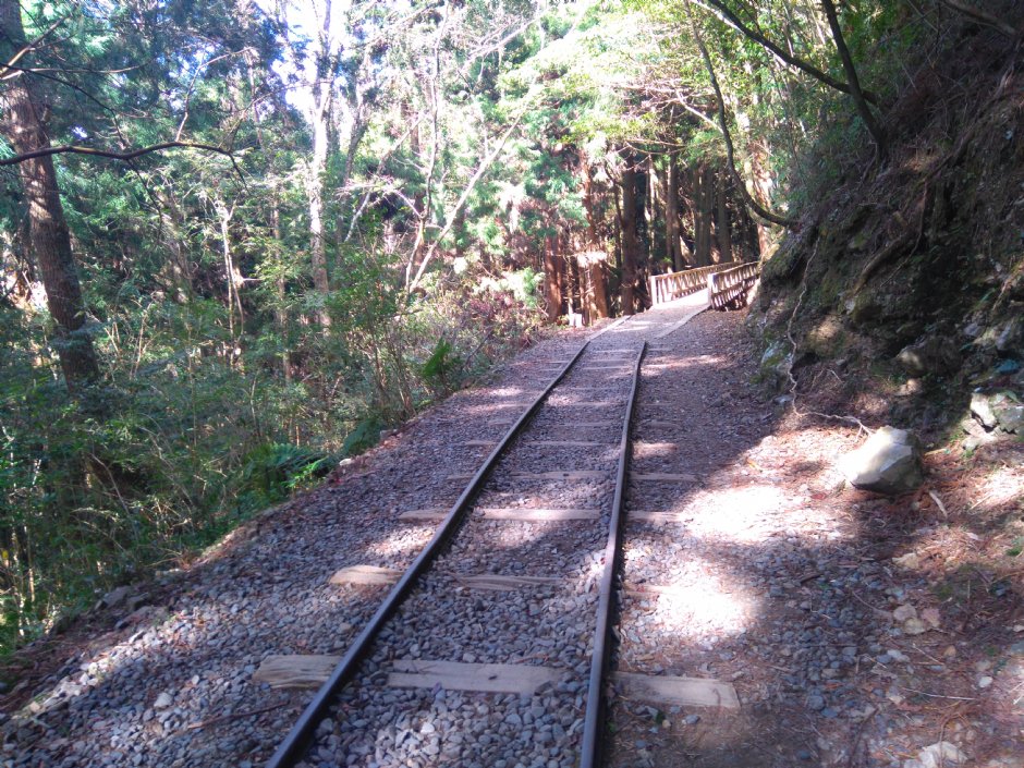 特富野古道 攝影：Lu