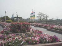 花團錦簇<br/> 攝影：郭香妙
