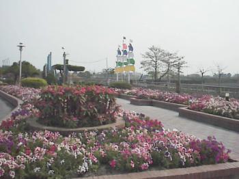 花團錦簇 攝影：郭香妙