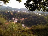 紅葉公園看溫泉飯店區<br/> 攝影：林山景