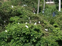野生動物棲息處<br/> 攝影：Eva隨手拍