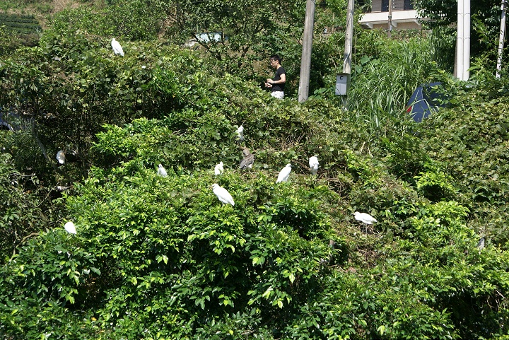 野生動物棲息處 攝影：Eva隨手拍