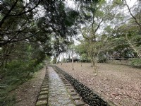 仁山植物園步道<br/> 攝影：Eva隨手拍