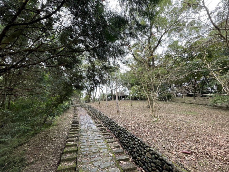 仁山植物園步道 攝影：Eva隨手拍