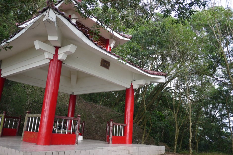 茂林紫蝶幽谷賞蝶步道 攝影：三個井