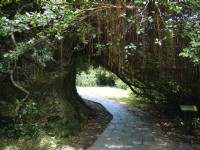 鵝鑾鼻公園步道<br/> 攝影：旅遊王攝影組