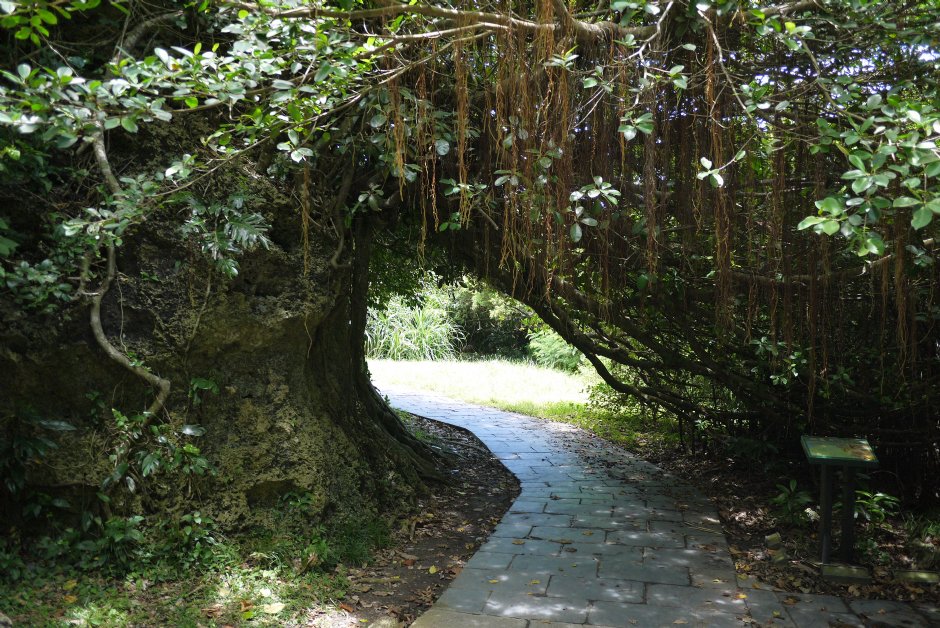 鵝鑾鼻公園步道 攝影：旅遊王攝影組