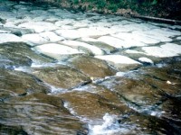 棋盤石一景<br/> 攝影：南投縣政府