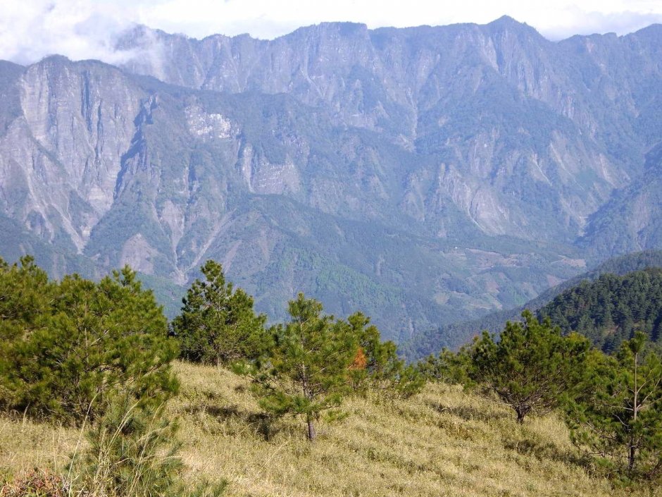 阿里山山脈 攝影：老山羊資訊網