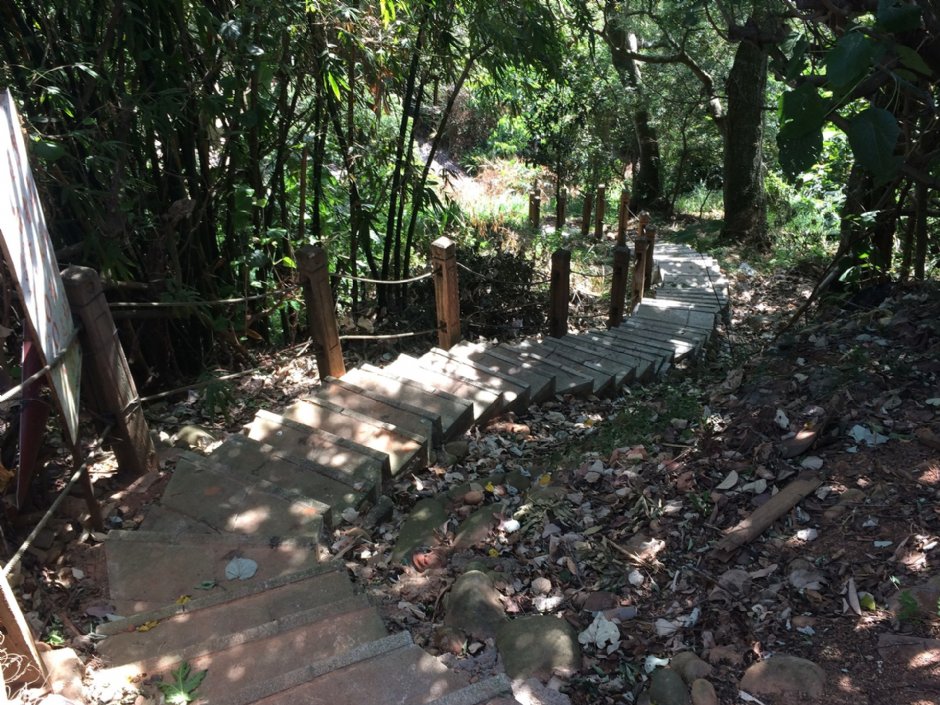 瑞井登山步道 攝影：Eva隨手拍