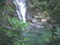 鼎湖山國家森林公園-2<br/> 攝影：沈兆樑