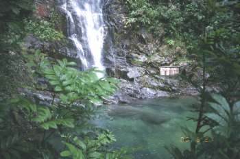 鼎湖山國家森林公園-2 攝影：沈兆樑