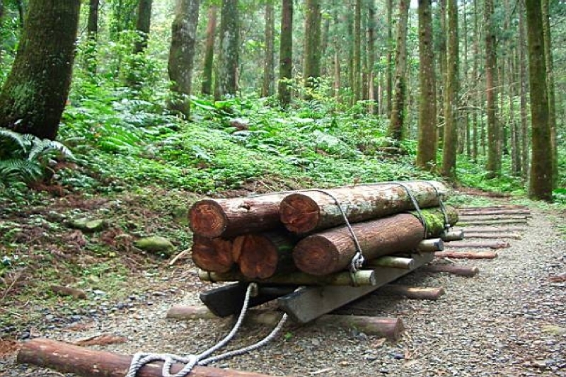 砝木準備運下山 攝影：老山羊部落格