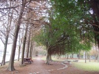 羅東運動公園<br/> 攝影：Eva隨手拍