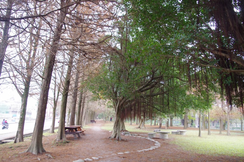 羅東運動公園 攝影：Eva隨手拍