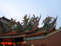 翹燕尾<br/> 攝影：鄭瑄頤