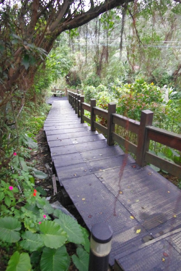 獅球公園步道 攝影：Eva隨手拍